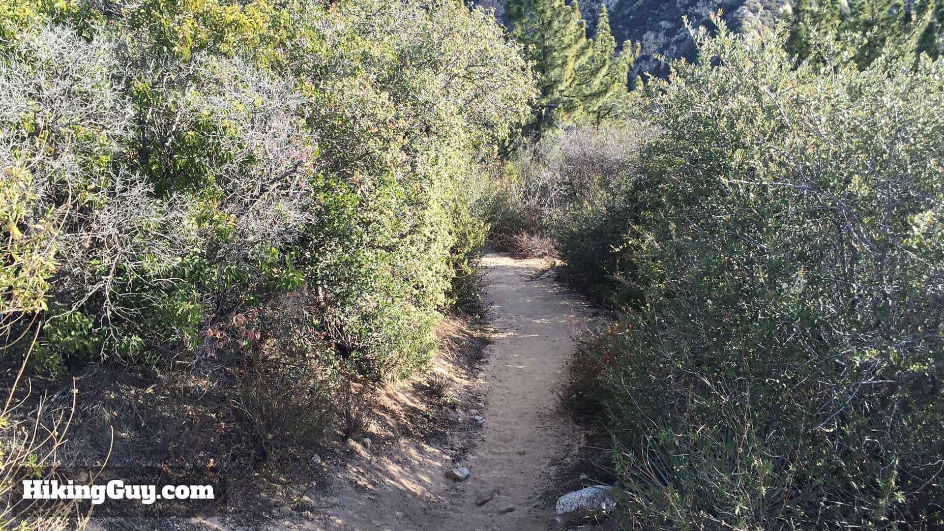 trail on echo mountain hike