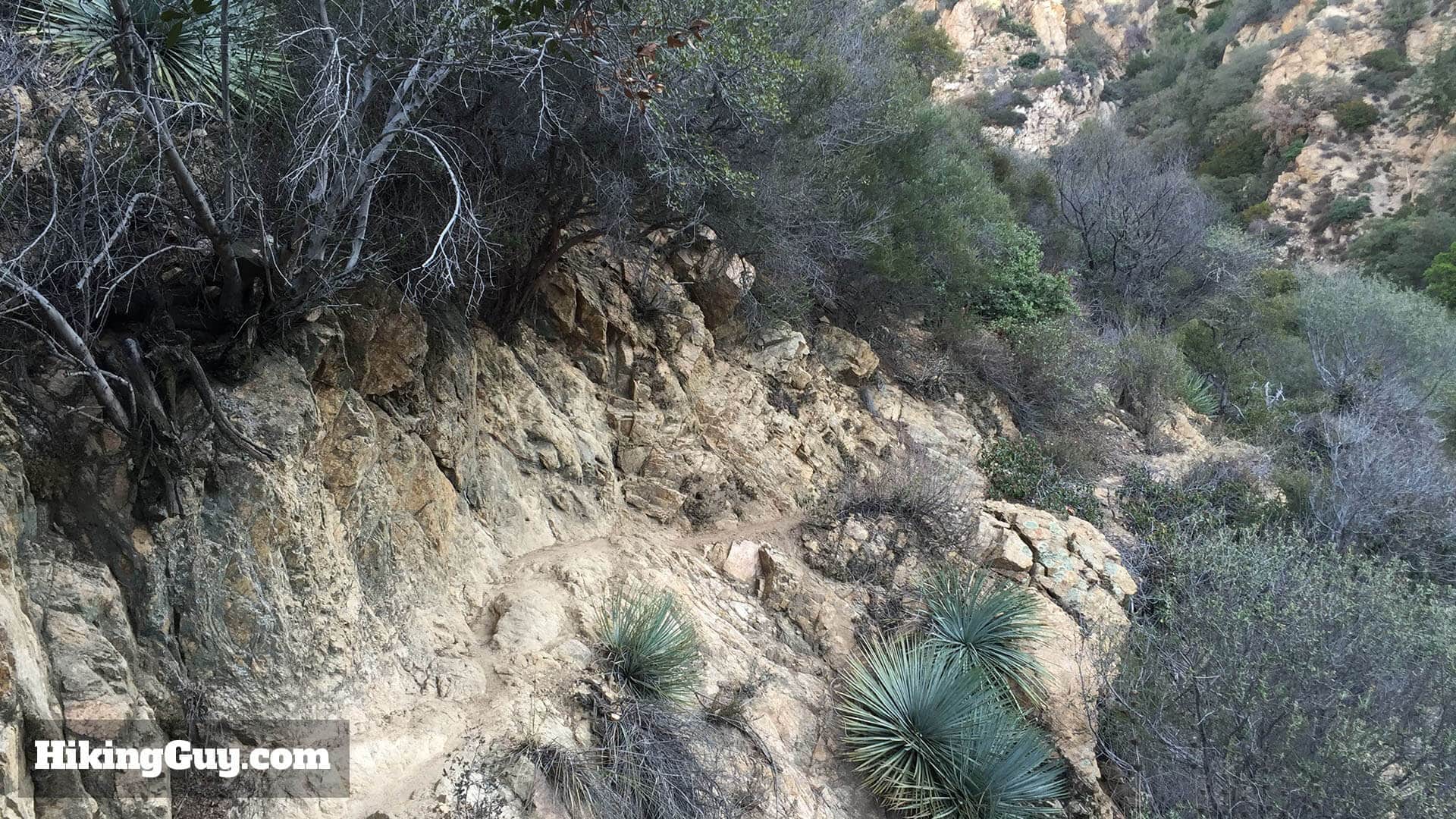 trail on echo mountain hike