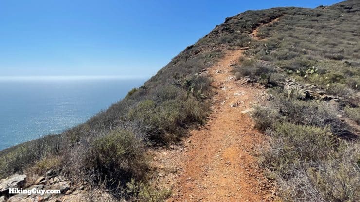 Trans Catalina Trail Directions 100