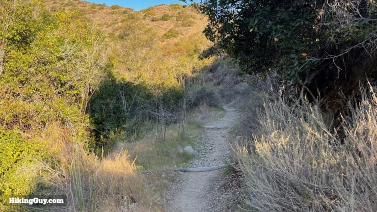 Trans Catalina Trail Directions 15