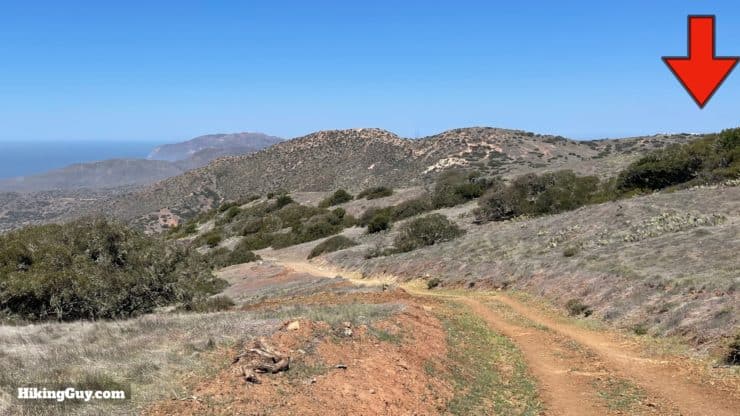 Trans Catalina Trail Directions 61