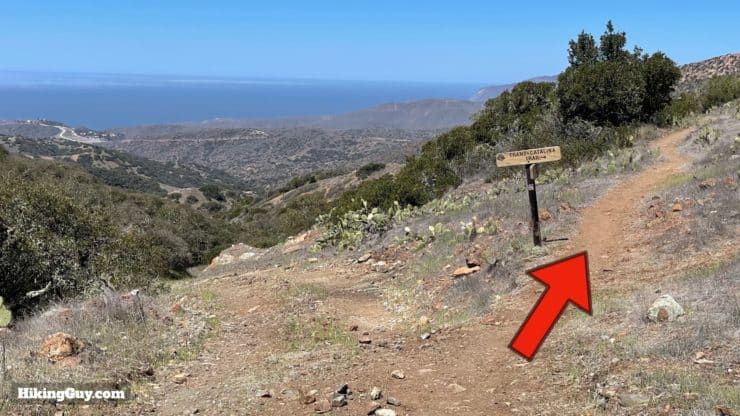 Trans Catalina Trail Directions 62