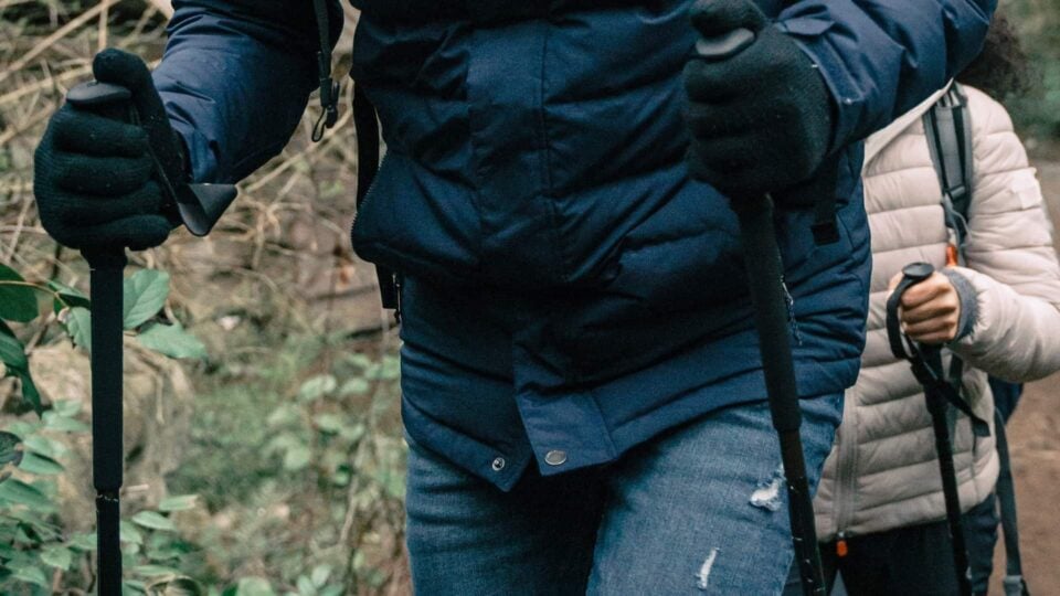 Trekking Poles Featured