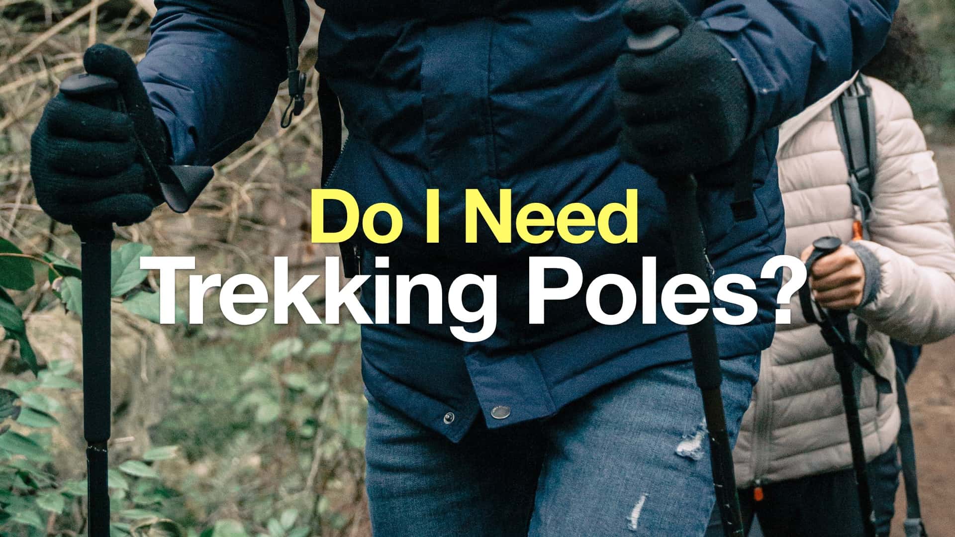 Purchase Trendy, Sturdy and Cheap collapsible poles 
