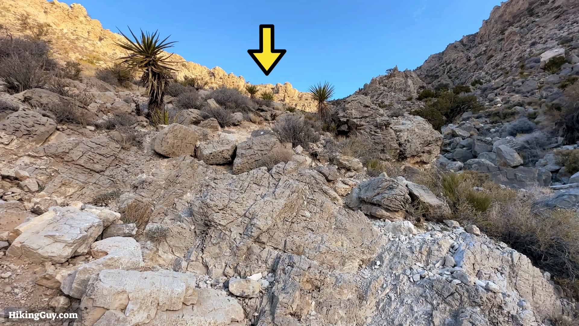 Turtlehead Peak Hike Directions 10