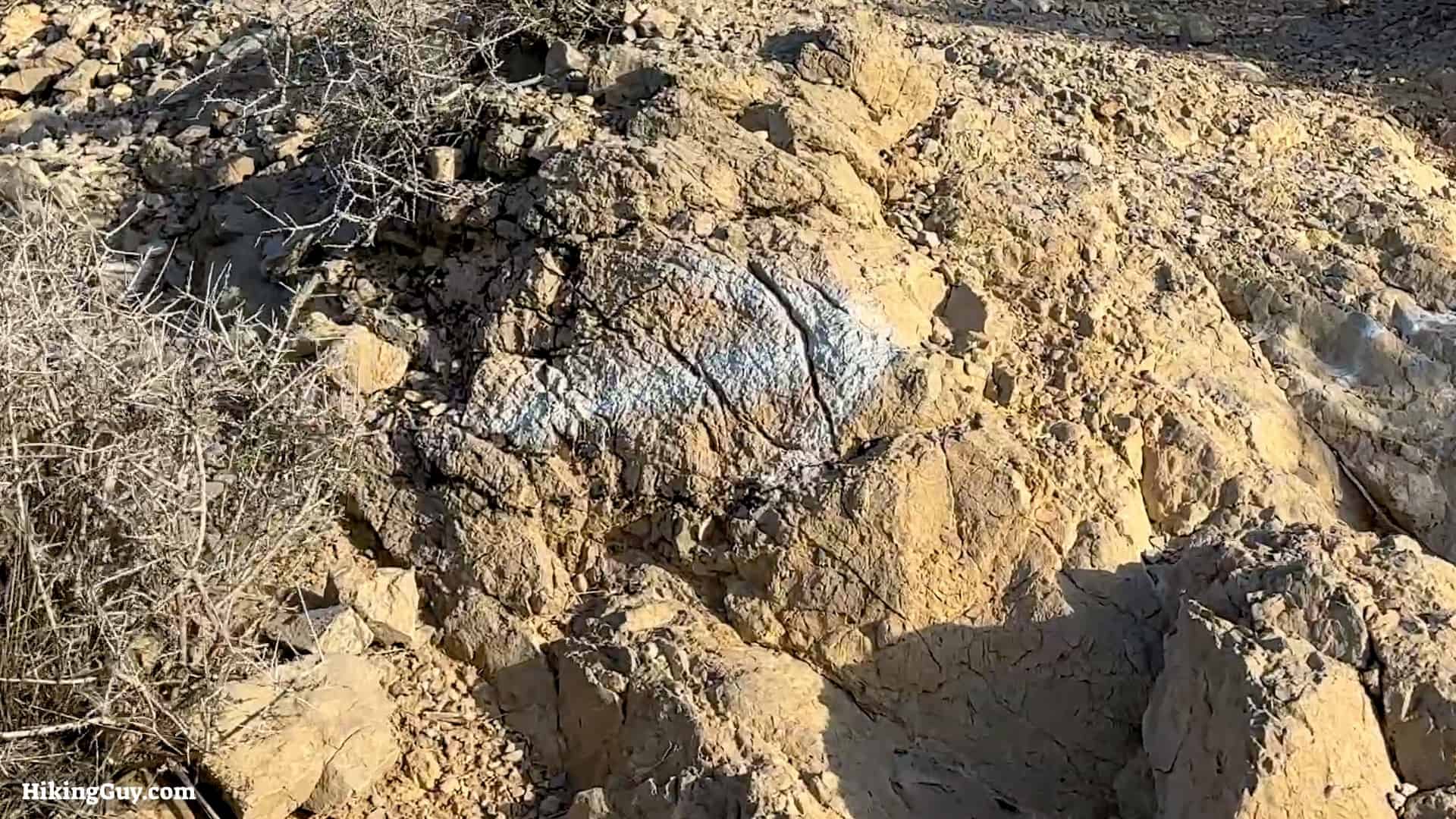 Turtlehead Peak Hike Directions 9