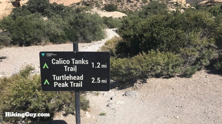 turtlehead peak trail