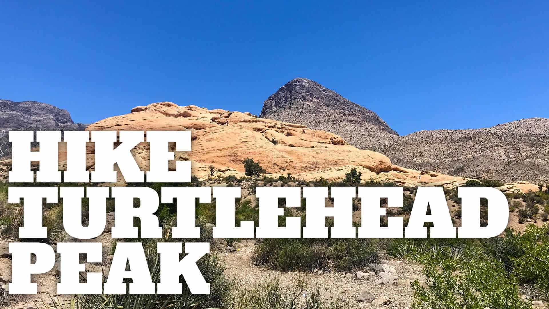 Hike Turtlehead Peak Trail