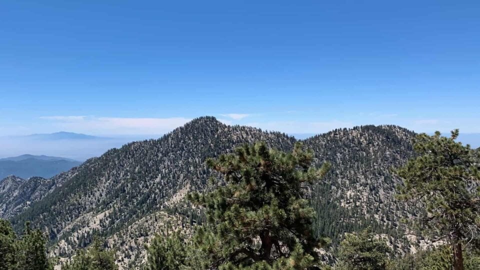 Twin Peaks Waterman Featured