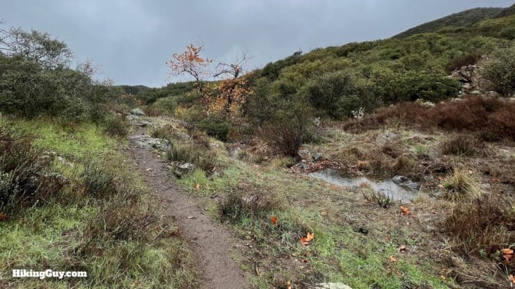 Upper Hot Spring Canyon Hike 11