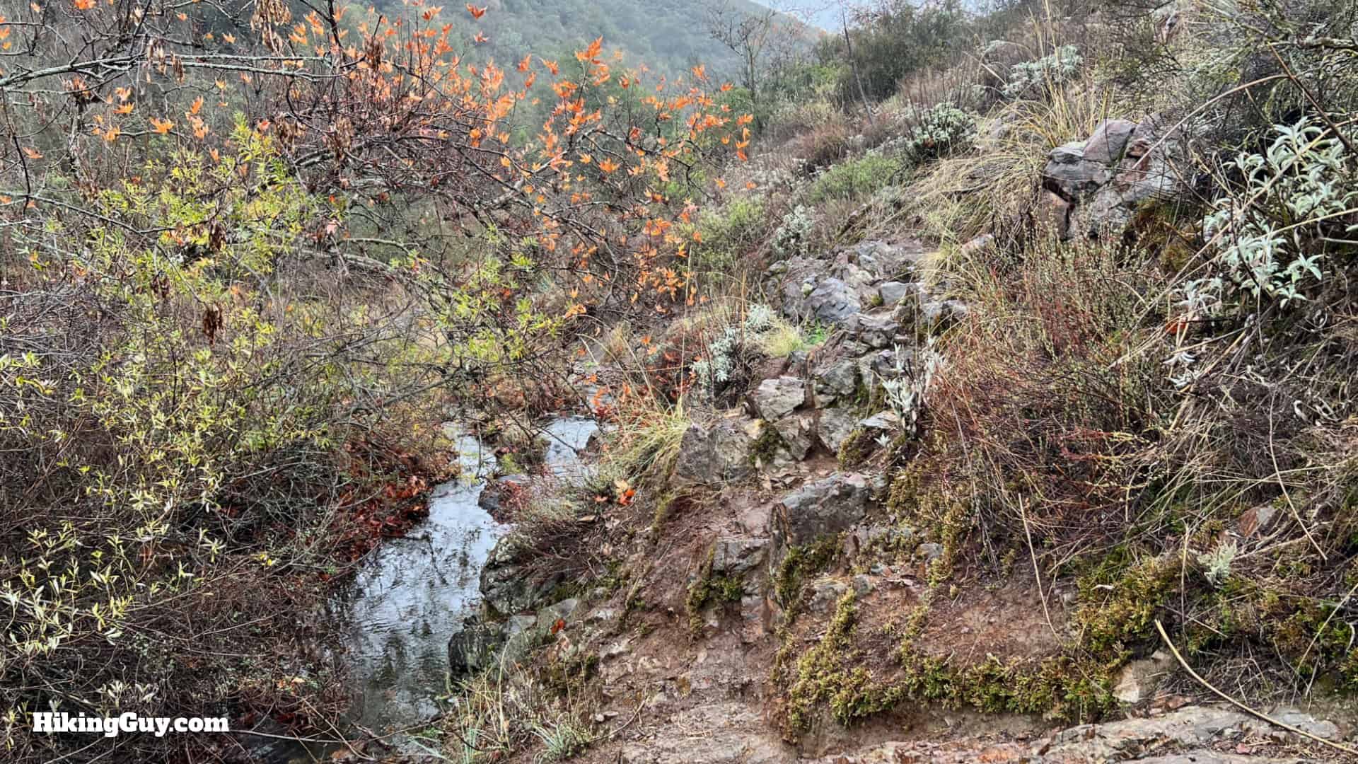 Upper Hot Spring Canyon Hike 17
