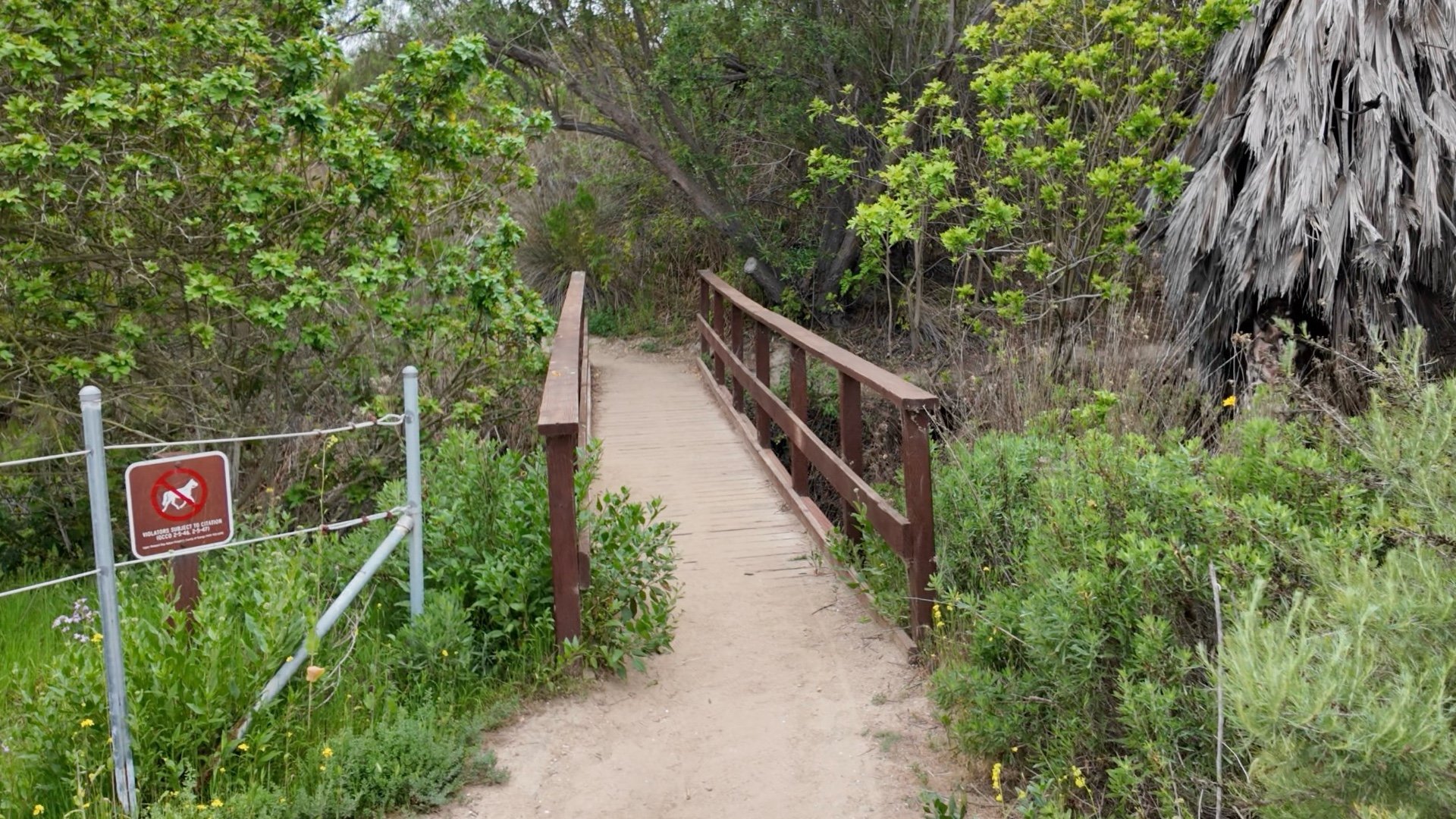 Upper Newport Bay Preserve Hike 32