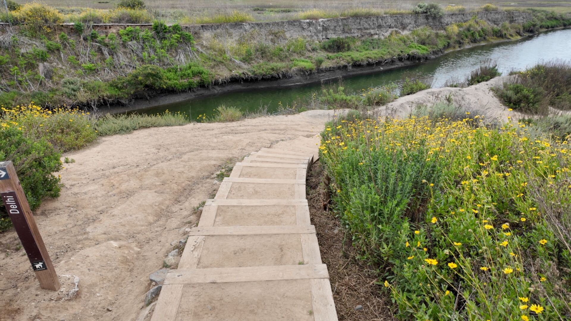 Upper Newport Bay Preserve Hike 6