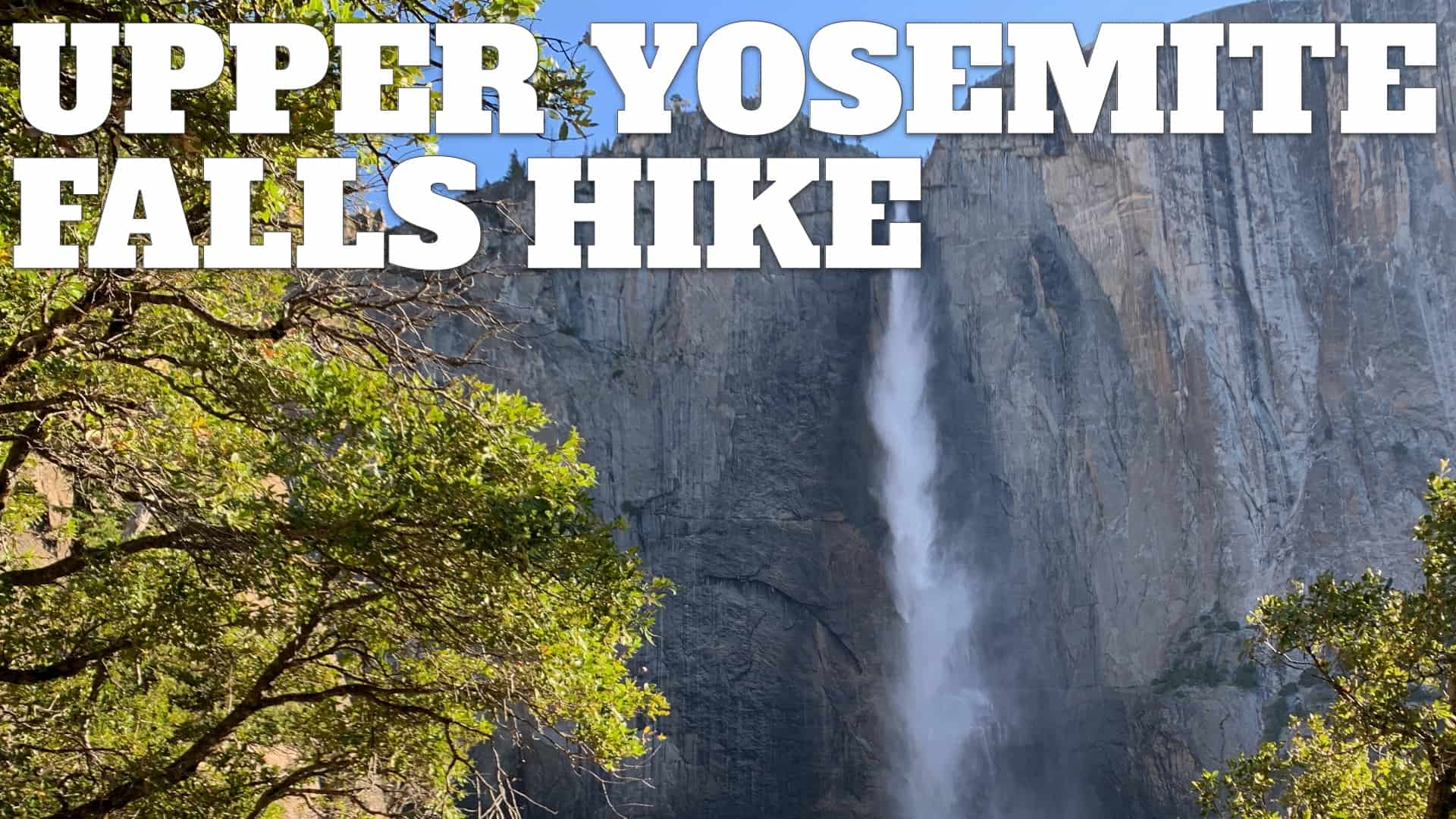 are dogs allowed in yosemite falls trail