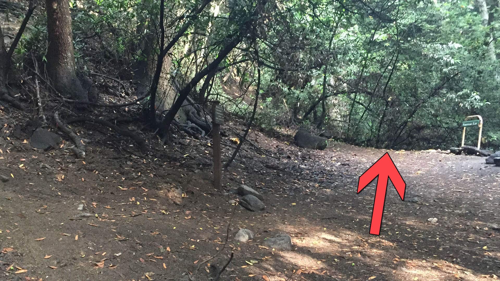 Upper Zion Trail Junction