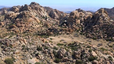 Valley of the Moon Trail