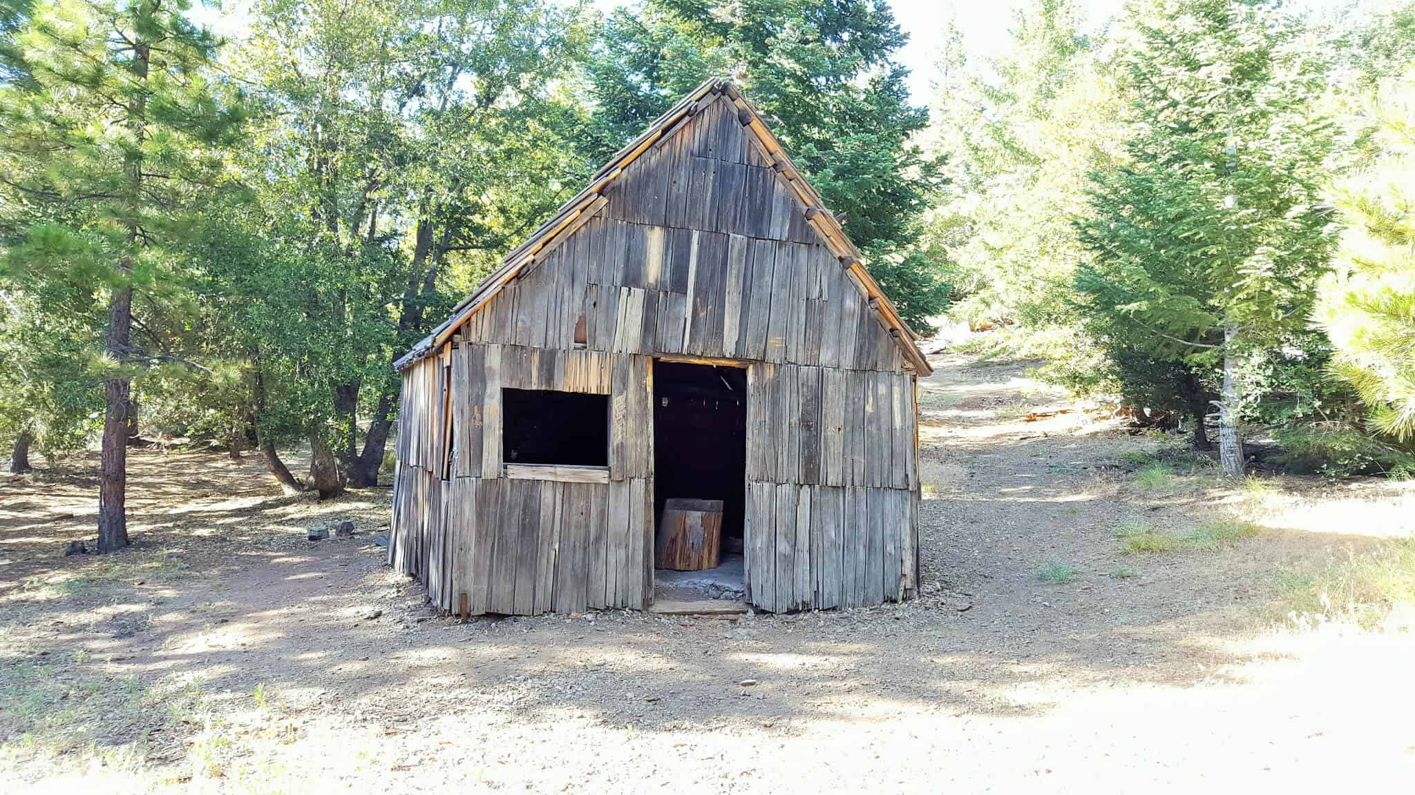 Vincents Cabin