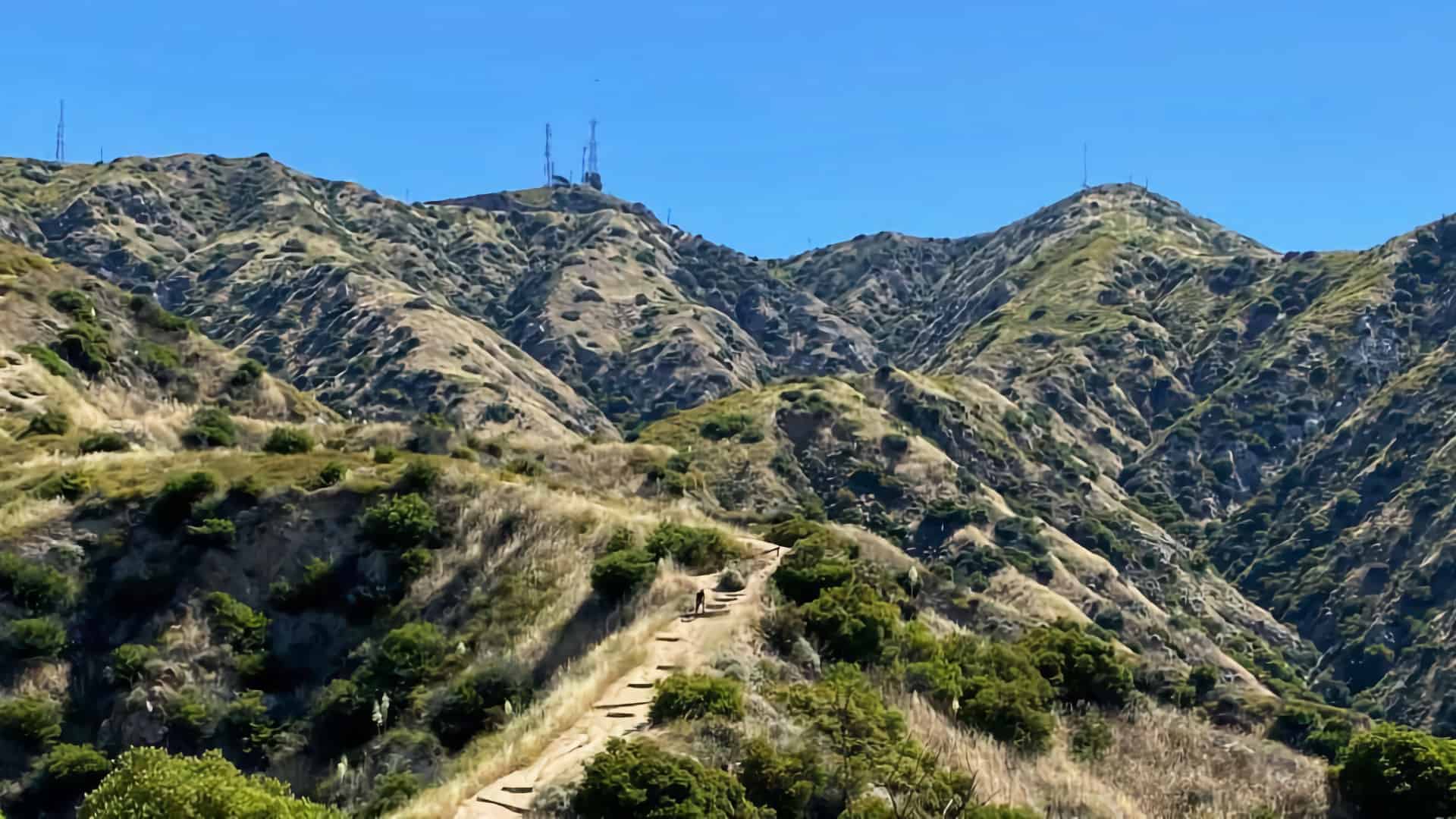 Vital Link Trail to Verdugo Peak Hike
