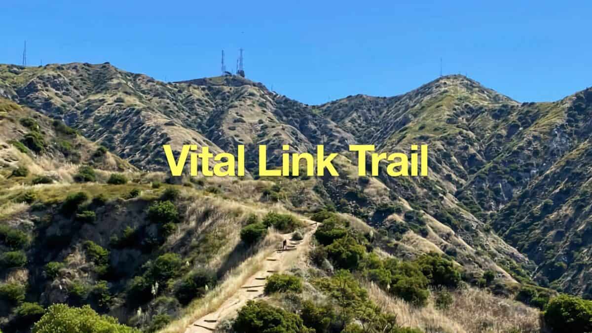 Vital Link Trail to Verdugo Peak Hike