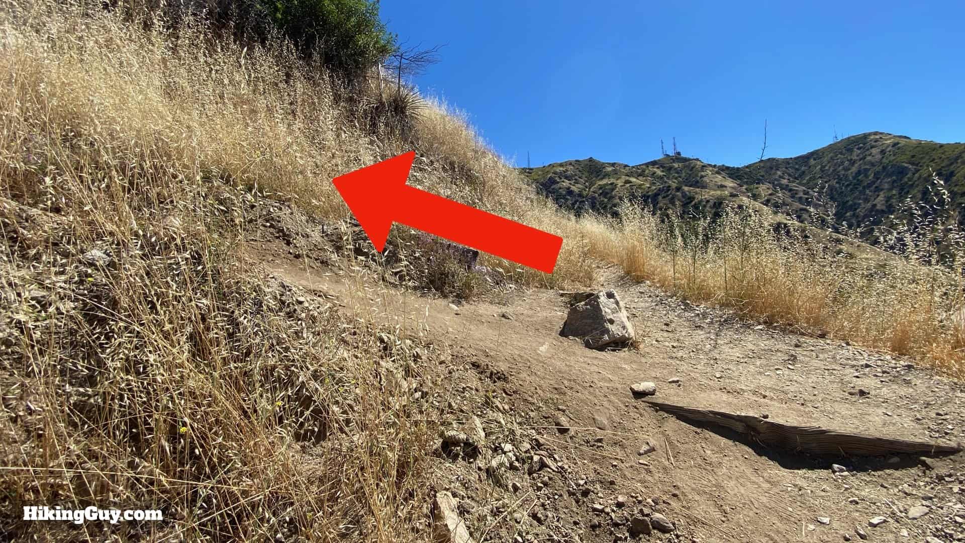 Vital Link Trail To Verdugo Peak Directions 17