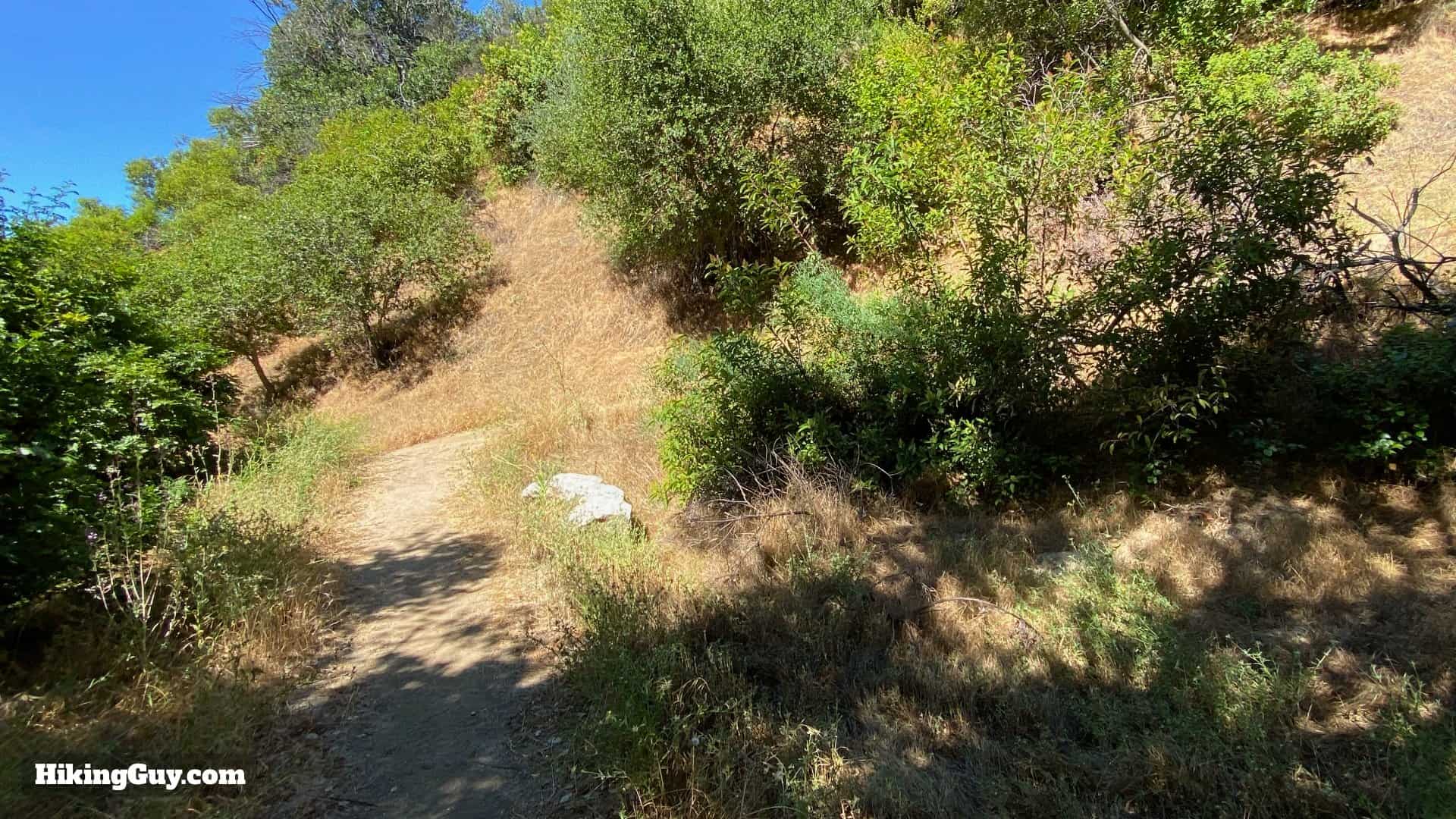 Vital Link Trail To Verdugo Peak Directions 7