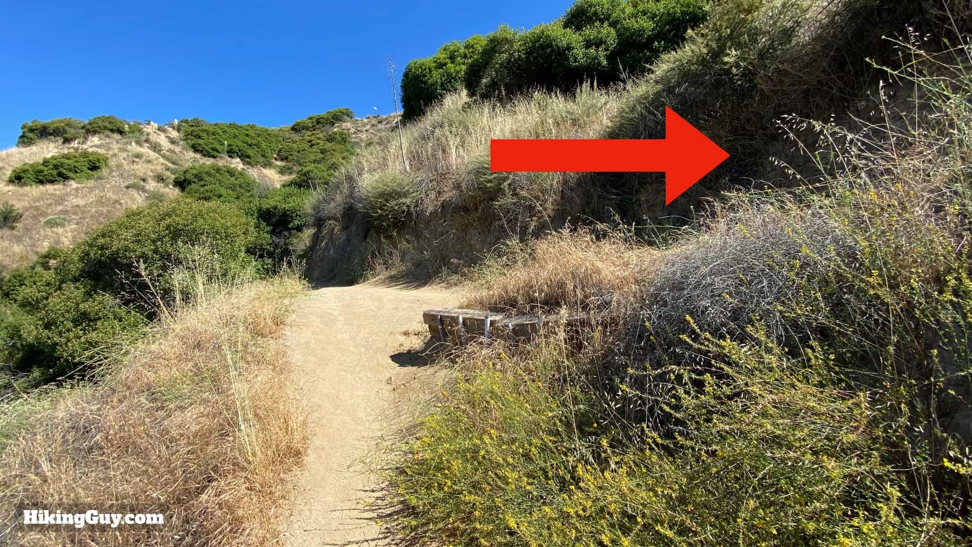 Vital Link Trail To Verdugo Peak Directions 9