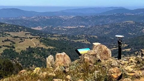 Volcan Mountain Trail Guide