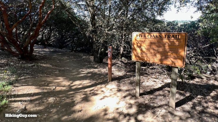 Volcan Mountain Trail Directions 15