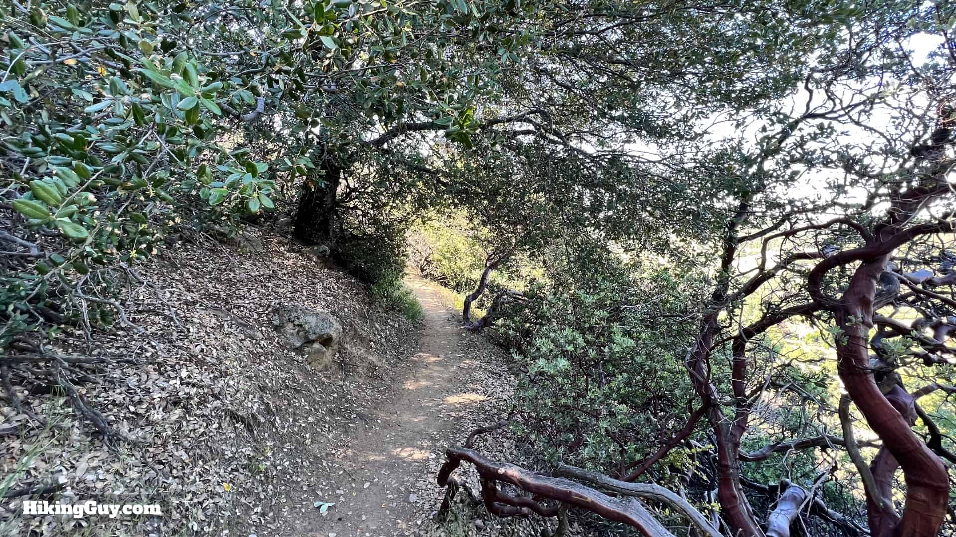 Volcan Mountain Trail Directions 16