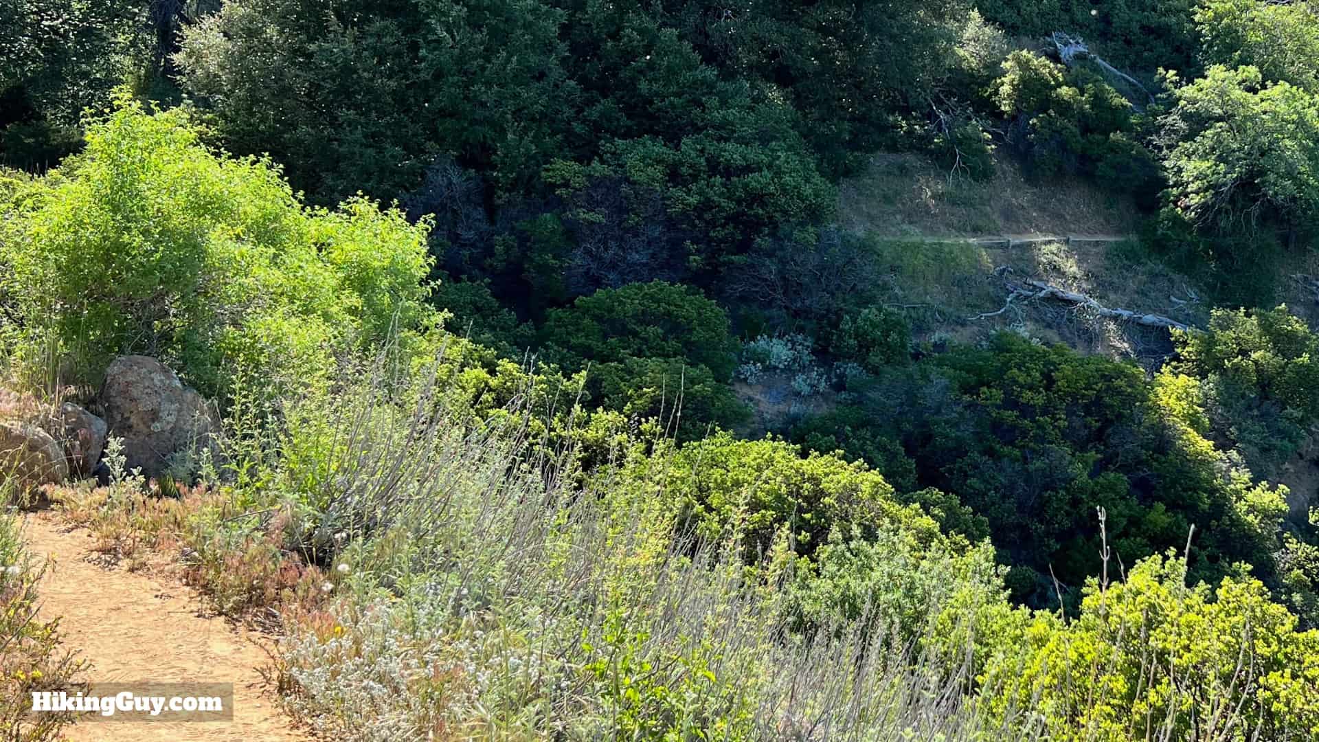 Volcan Mountain Trail Directions 18