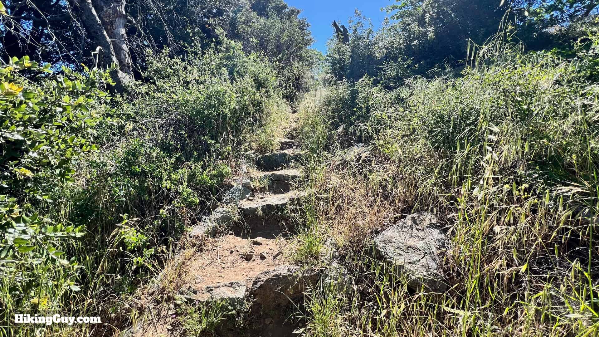 Volcan Mountain Trail Directions 19