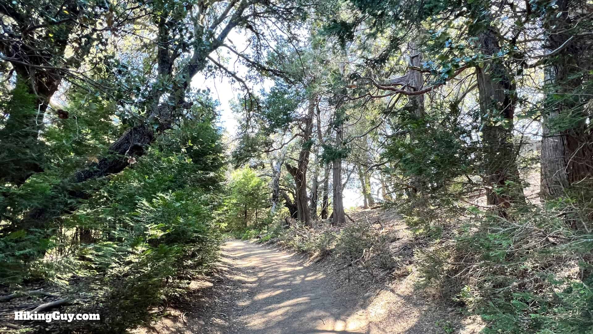 Volcan Mountain Trail Directions 28