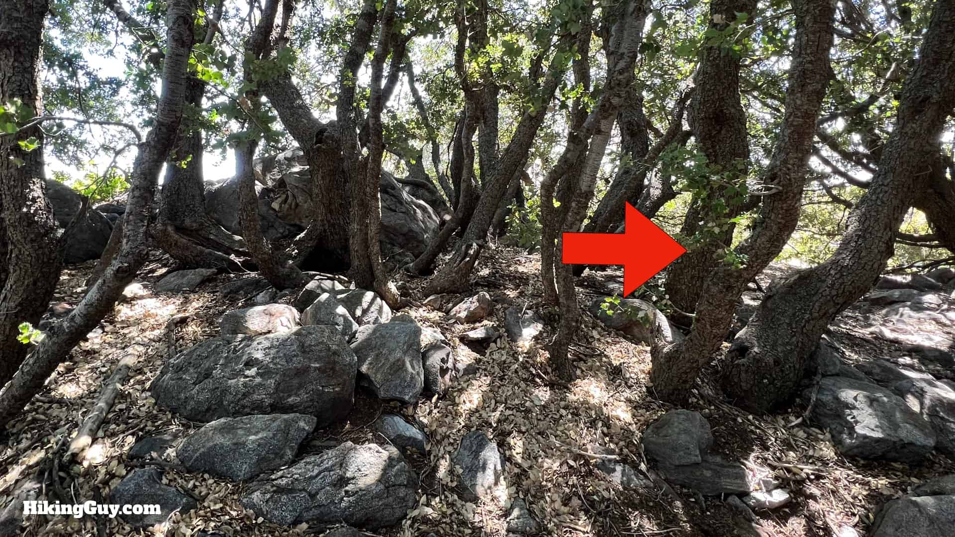 Volcan Mountain Trail Directions 40