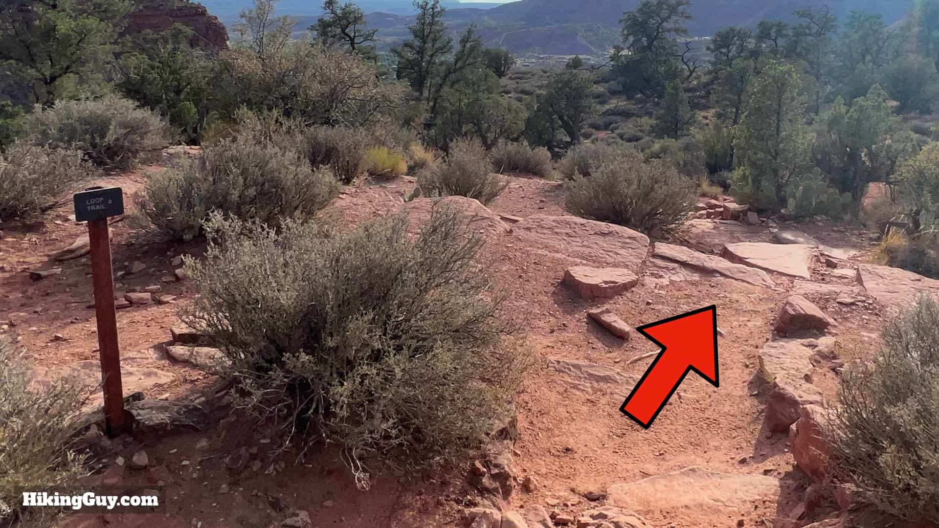 Watchman Trail Zion Directions 17