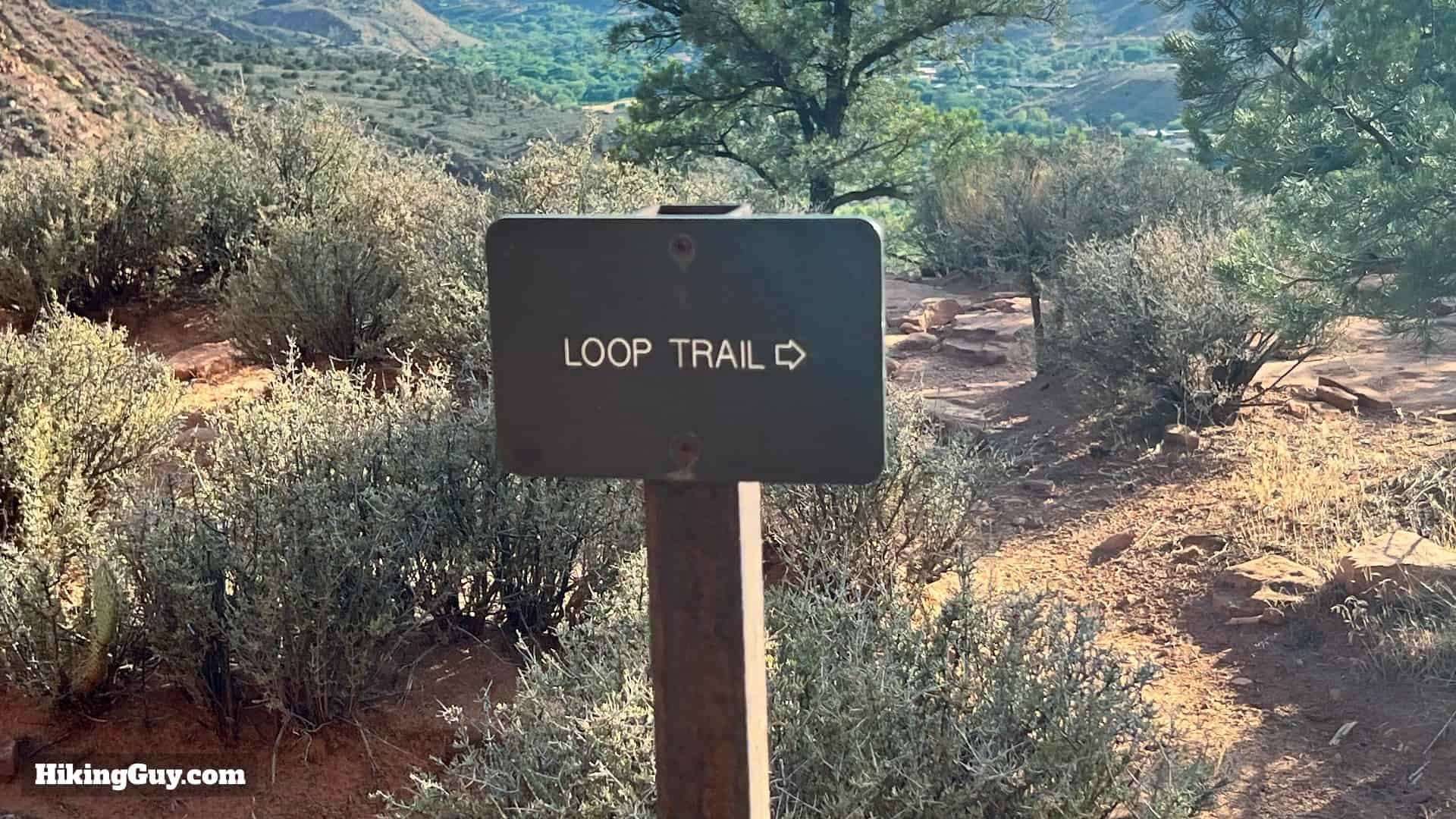 Watchman Trail Zion Directions 18