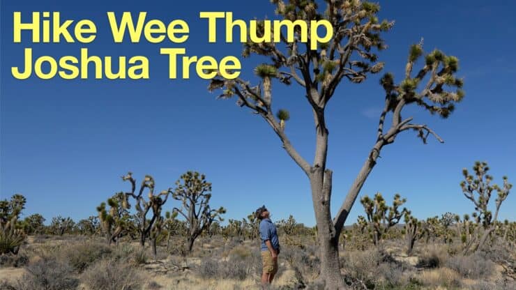 Wee Thump Joshua Tree Hike