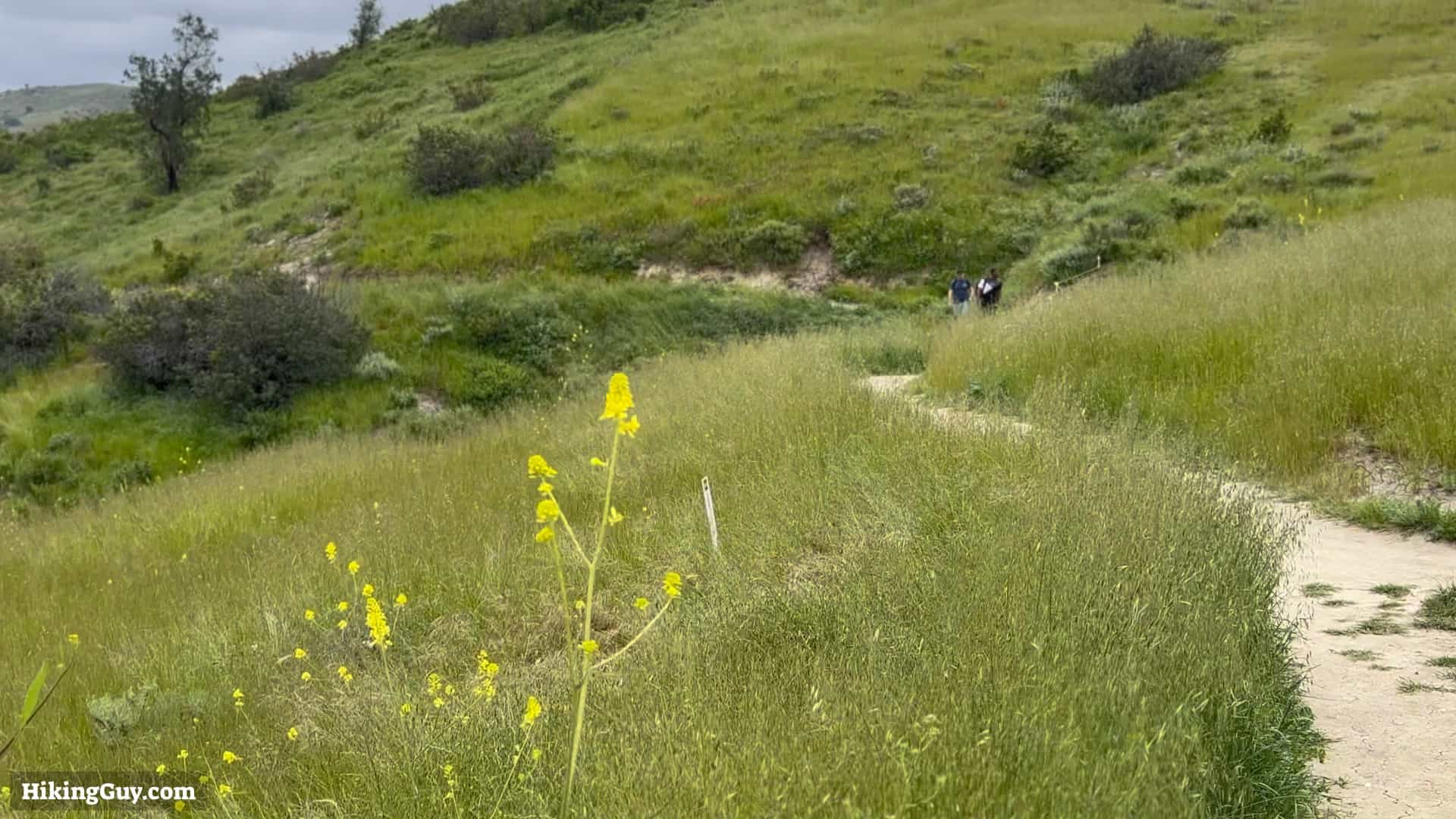 Weir Canyon Trail Directions 10