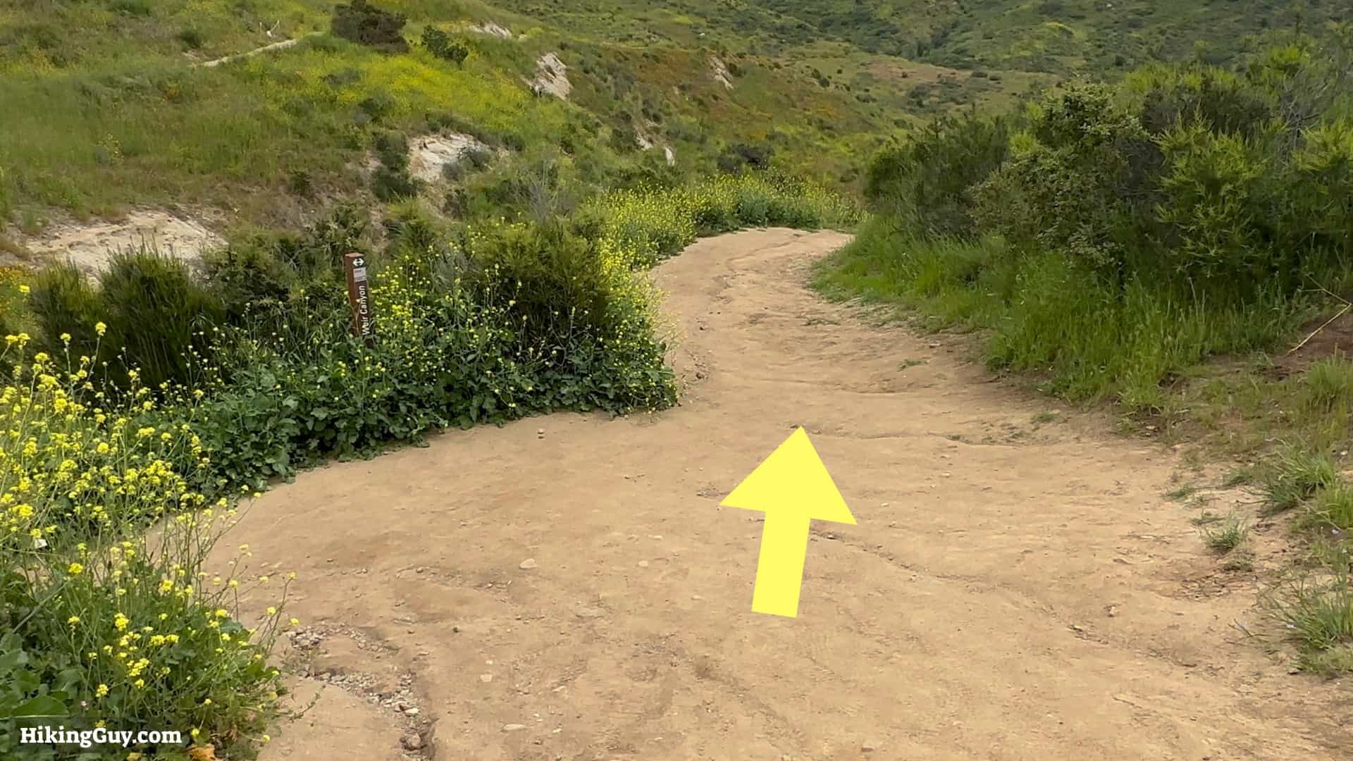 Weir Canyon Trail Directions 11