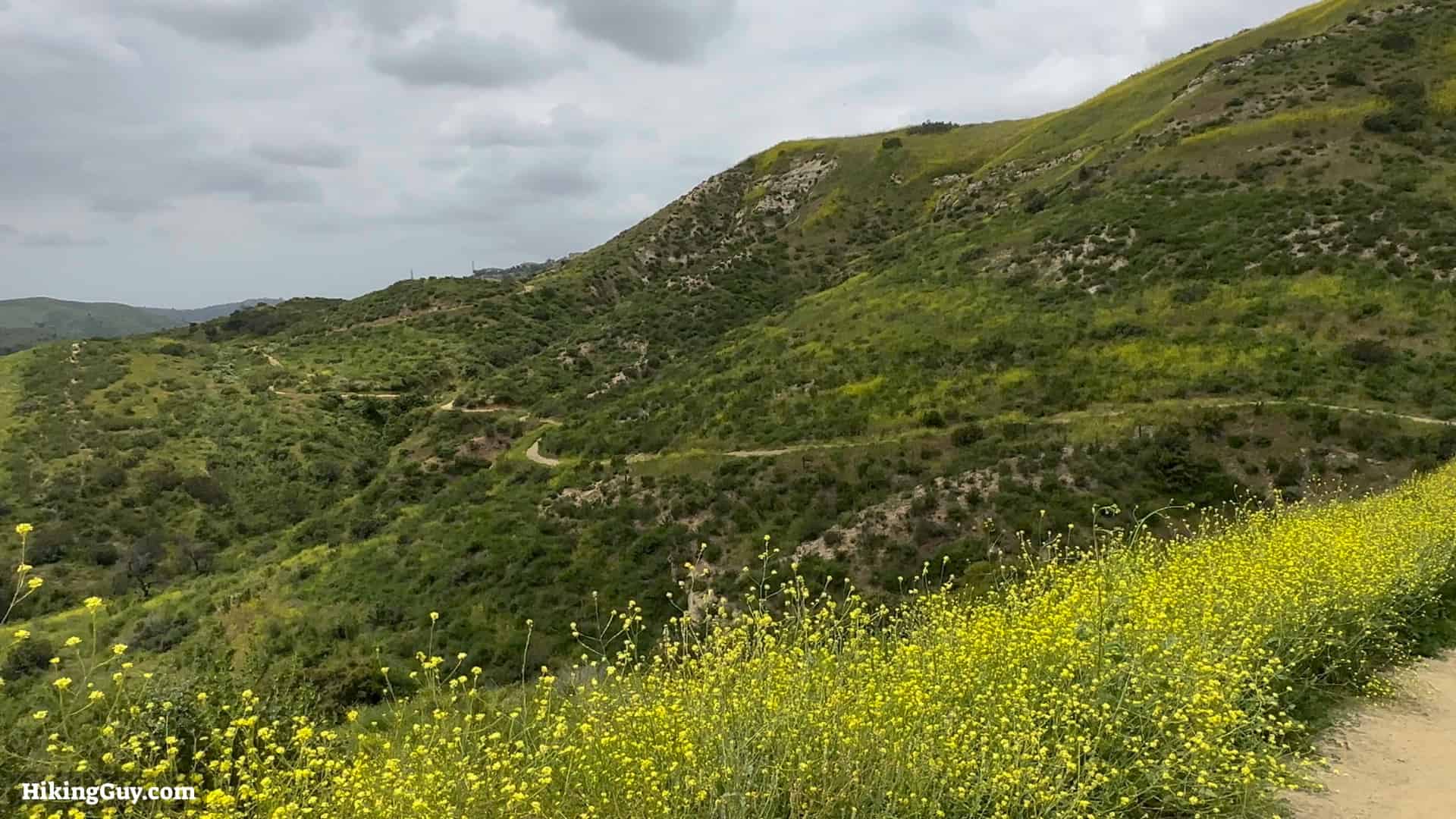 Weir Canyon Trail Directions 12