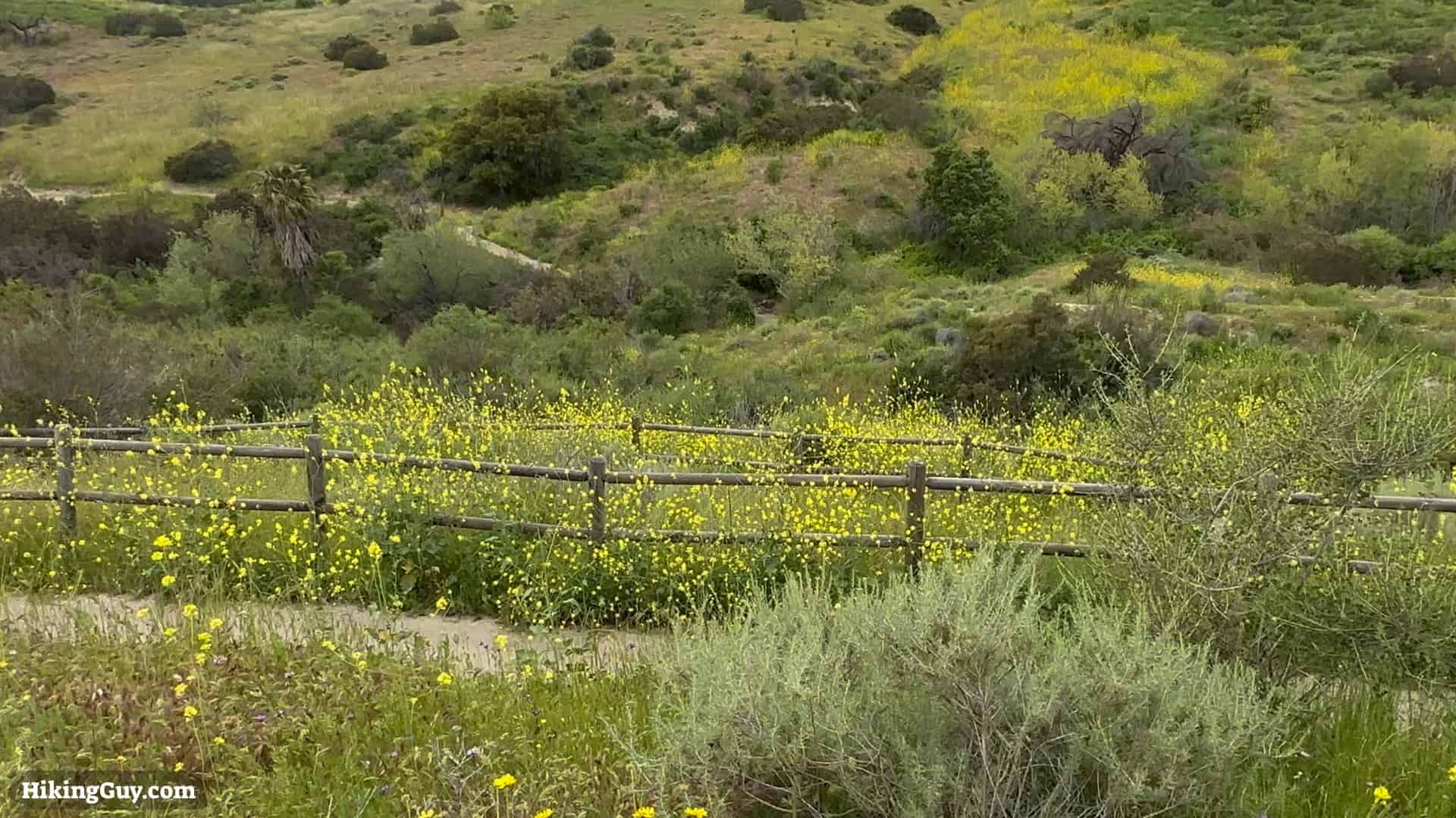 Weir Canyon Trail Directions 13