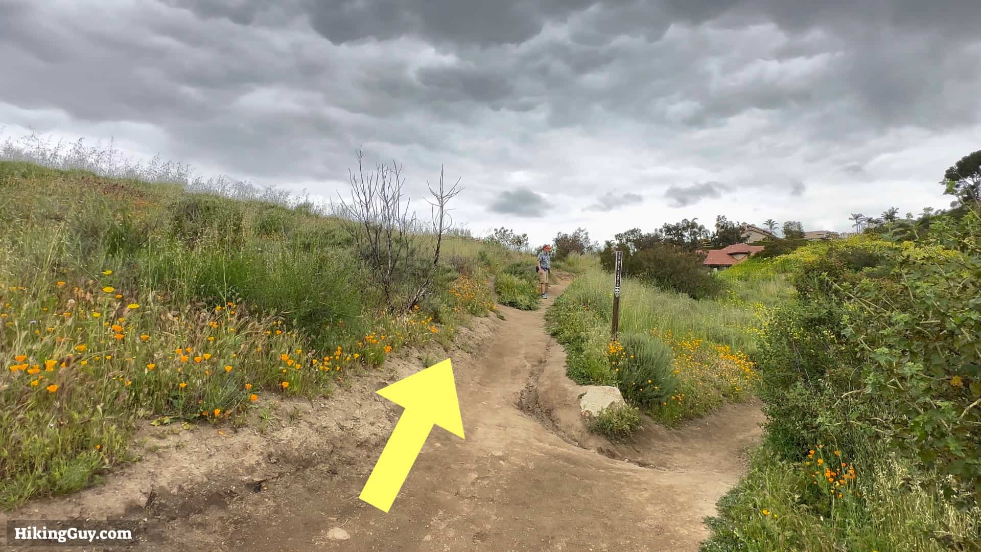 Weir Canyon Trail Directions 5