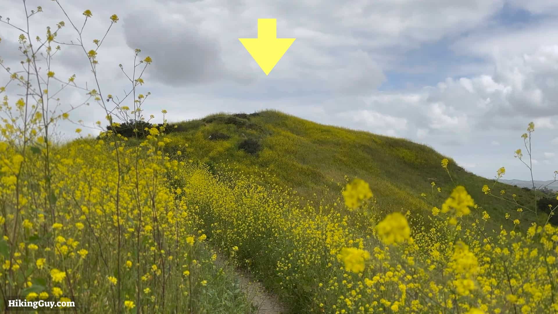 Weir Canyon Trail Directions 6