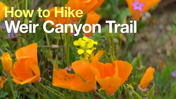 Hike Weir Canyon Trail
