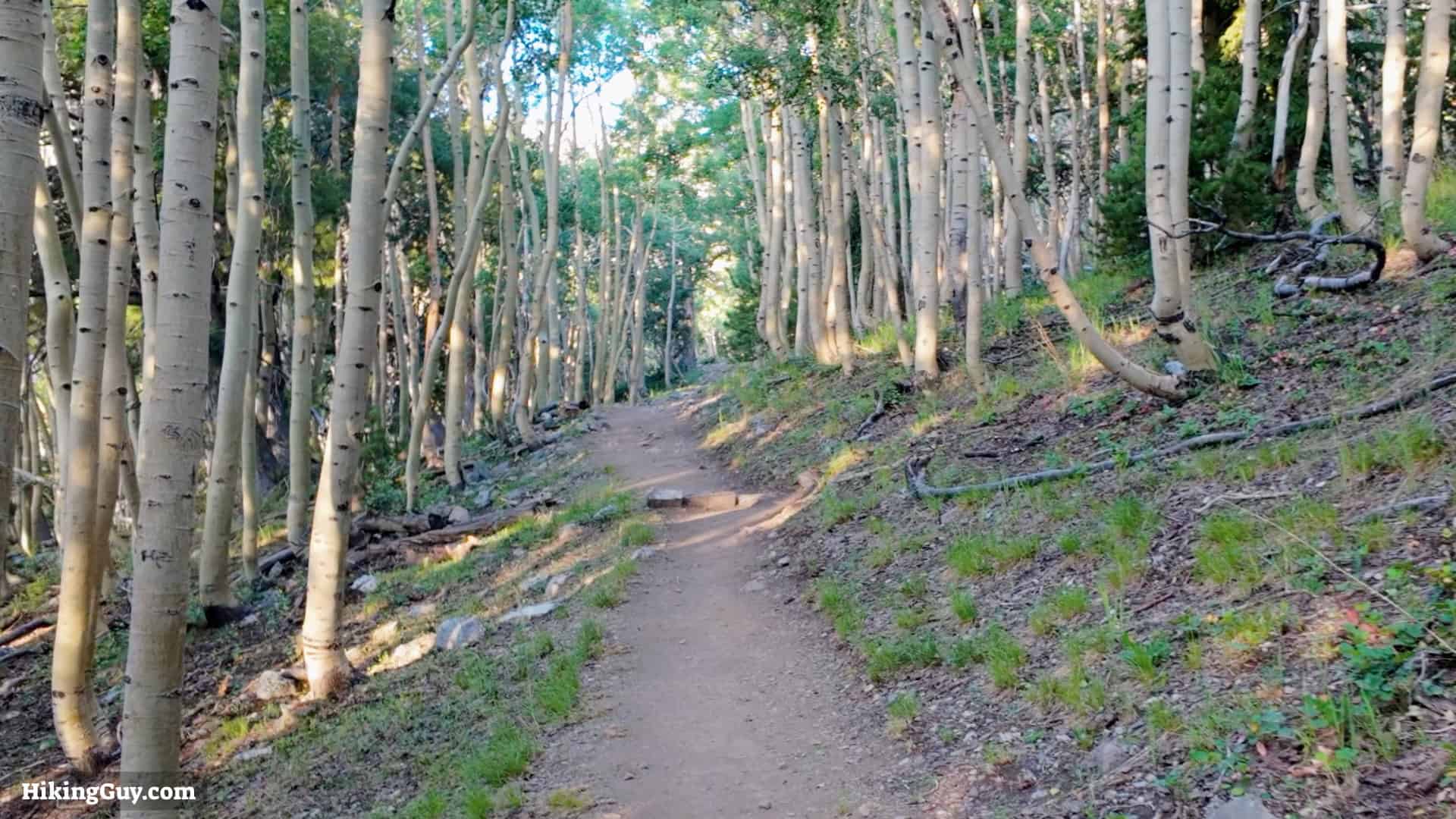 Wheeler Peak Nv Hike Directions 3