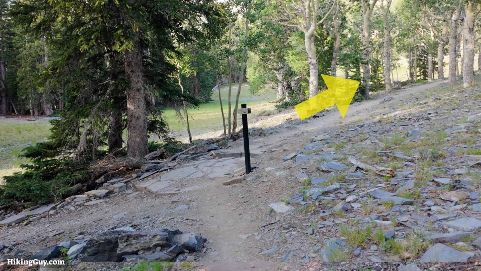 Wheeler Peak Nv Hike Directions 4