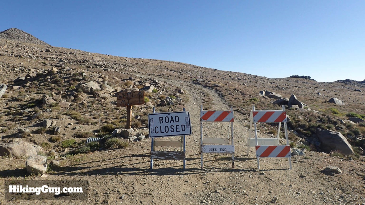 White Mountain Peak Hike California