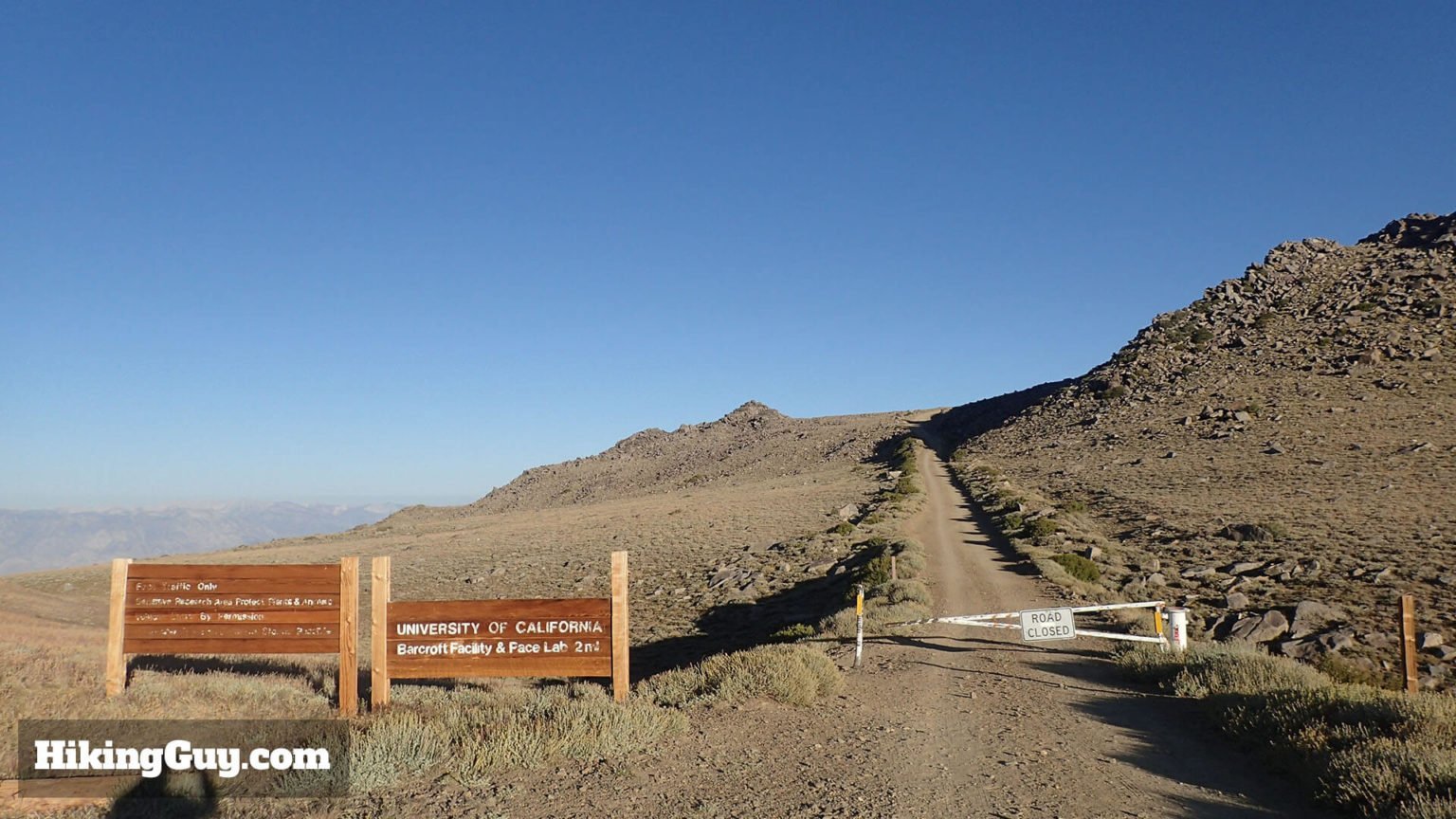 White Mountain Peak Hike California