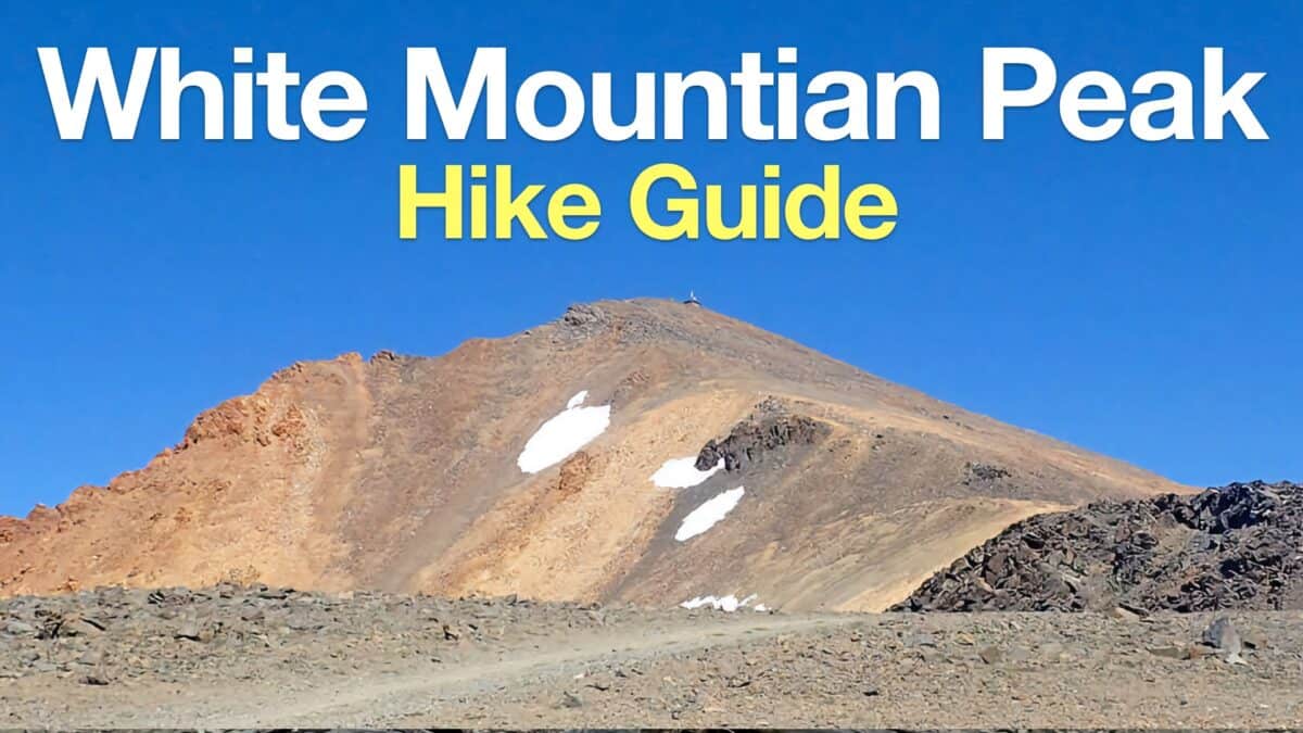 White Mountain Peak Hike (California)