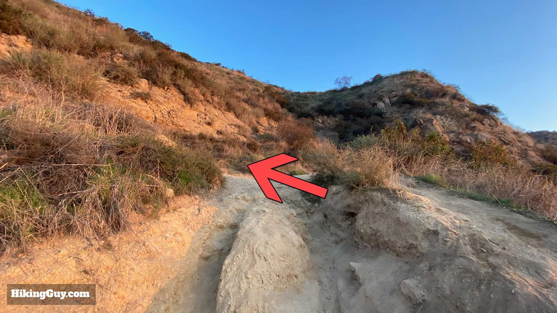 Wisdom Tree Hike Directions 1