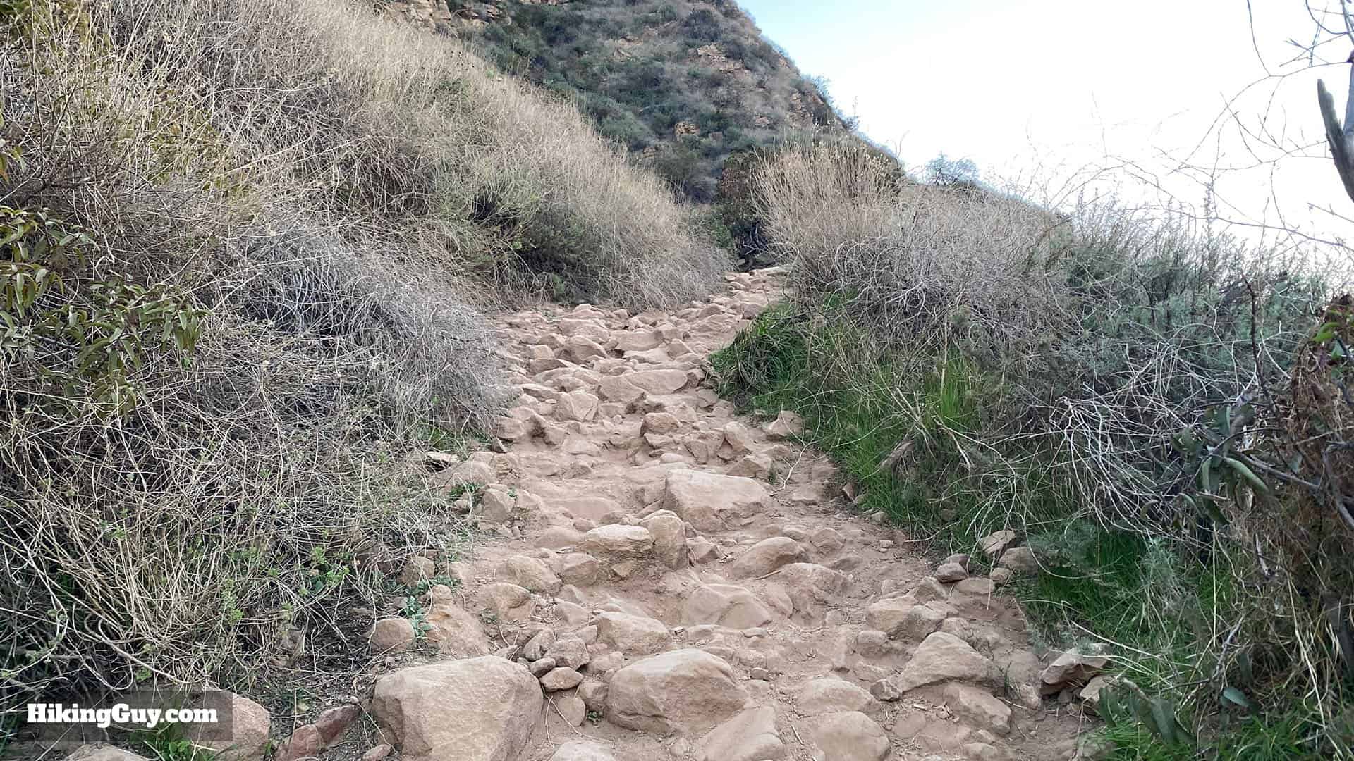 Wisdom Tree Hike Directions 13